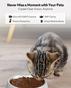 Automatic Cat Feeder With Camera